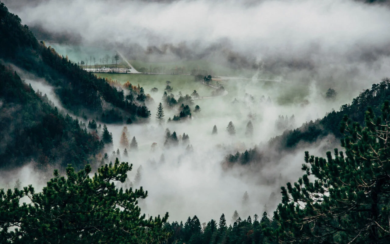 Blog15